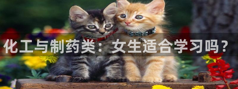 九游会老哥俱乐部交流社区：化工与制药类：女生适合学习吗？