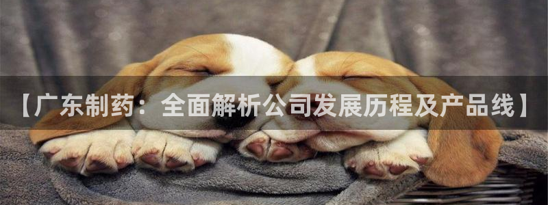 九游会老哥俱乐部官网首页论坛：【广东制药：全面解析公司发展历程及产品线】