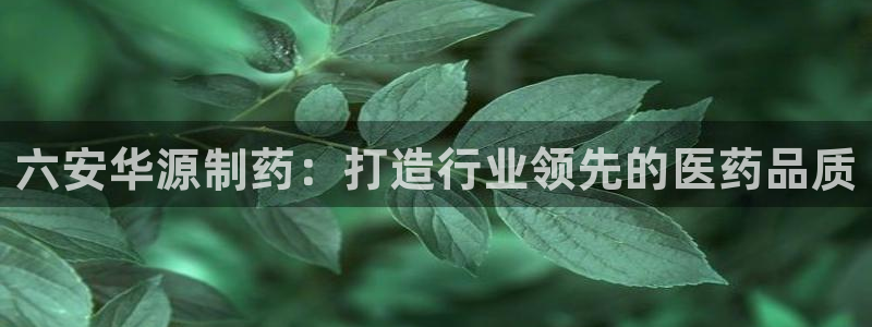 ag九游会老哥：六安华源制药：打造行业领先的医药品质