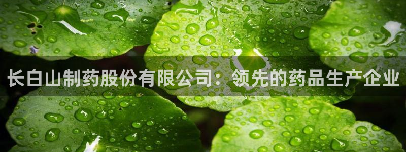 老哥俱乐部是干什么的：长白山制药股份有限公司：领先的药品生产企业