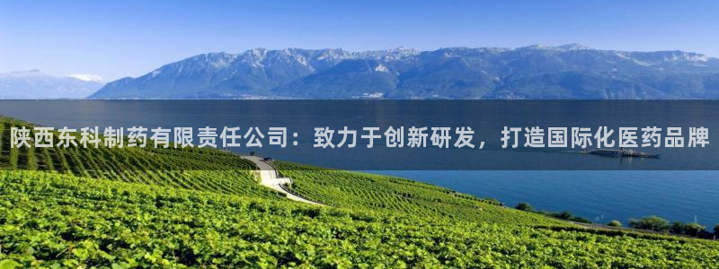 九游老哥俱乐部官网登录：陕西东科制药有限责任公司：致力于创新研发，打造国际化医药品牌