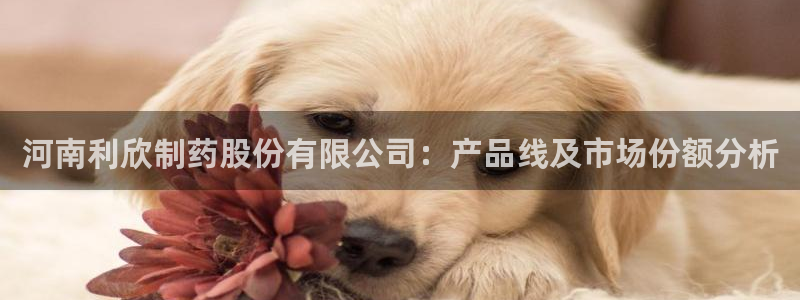 九游老哥俱乐部官网登录不了：河南利欣制药股份有限公司：产品线及市场份额分析
