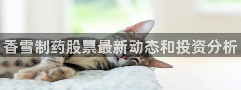 usdt九游会老哥俱乐部