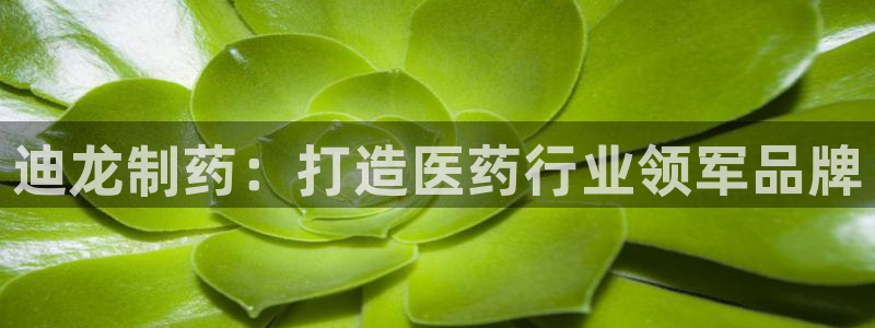 j9九游会老哥俱乐部交流区：迪龙制药：打造医药行业领军品牌