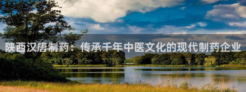 九游会老哥俱乐部必备的交流社区：陕西汉唐制药：传承千年中医文化的现代制药企业