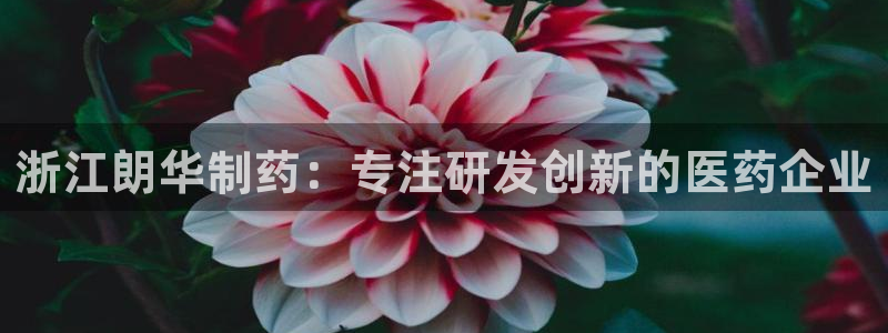 九游会老哥必备的交流社区：浙江朗华制药：专注研发创新的医药企业