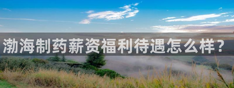 九游老哥俱乐部登录：渤海制药薪资福利待遇怎么样？