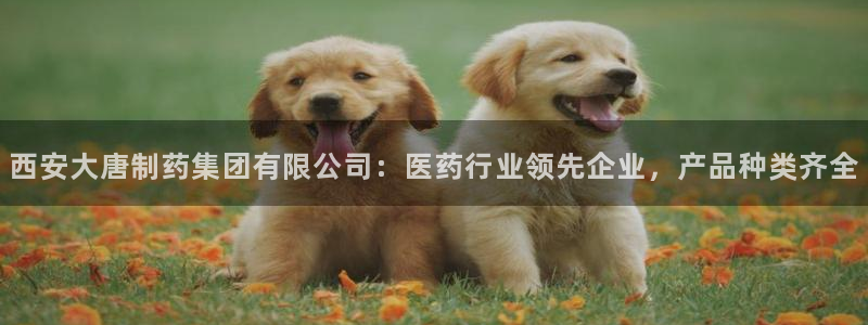 九游会老哥俱乐部官网首页：西安大唐制药集团有限公司：医药行业领先企业，产品种类齐全