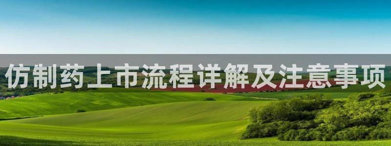 9游会老哥俱乐部：仿制药上市流程详解及注意事项