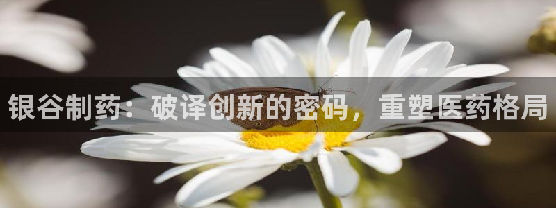 usdt九游会老哥俱乐部