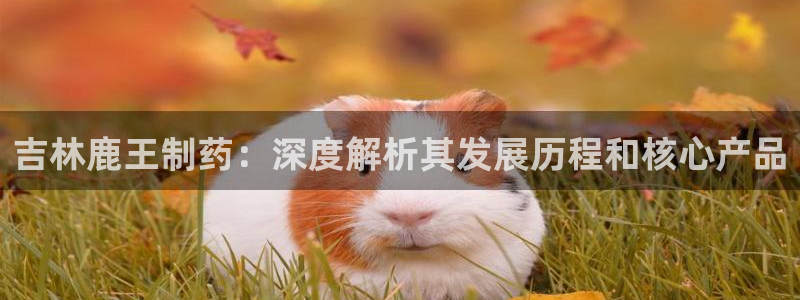 九游会老哥必备的交流社区九