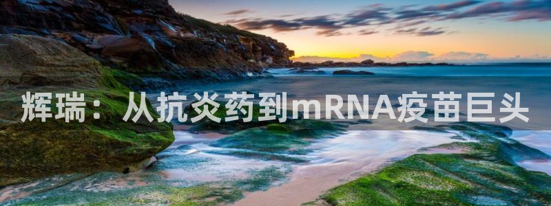 ag九游老哥俱乐部：辉瑞：从抗炎药到mRNA疫苗巨头