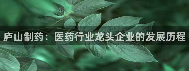 ag九游老哥俱乐部