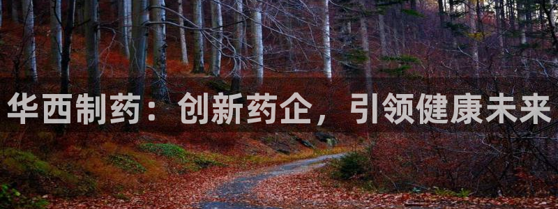 九游老哥俱乐部官网登录网址：华西制药：创新药企，引领健康未来