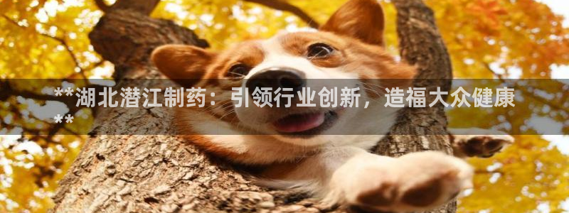 9游会老哥