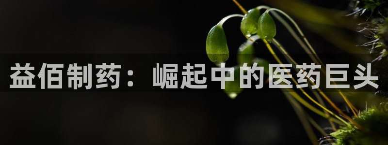九游会老哥俱乐部官网首页论坛