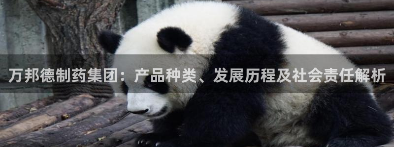 9游会老哥