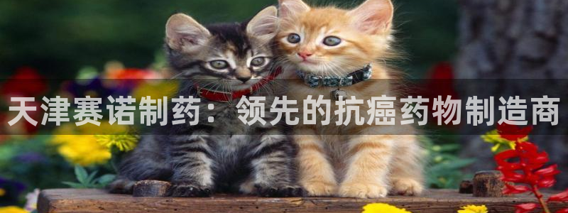 九游会老哥俱乐部官网首页论坛