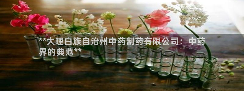老哥俱乐部是干什么的