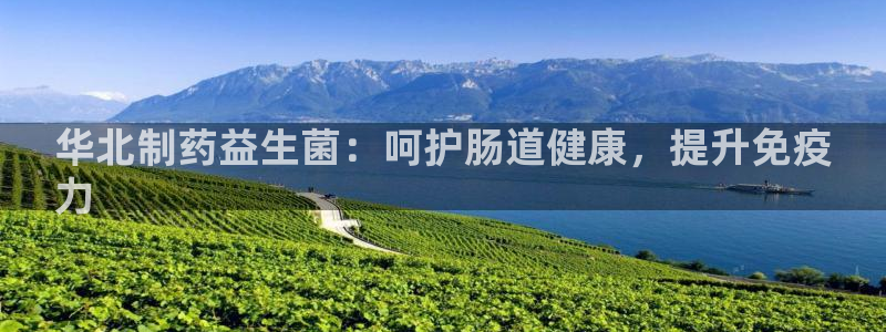 老哥吧九游会