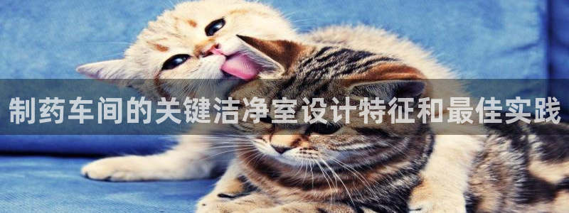9游会老哥