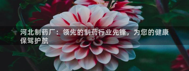 老哥吧九游会下架吗：河北制药厂：领先的制药行业先锋，为您的健康
保驾护航
