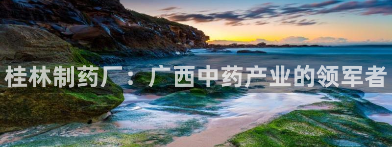 九游老哥俱乐部官网登录入口：桂林制药厂：广西中药产业的领军者