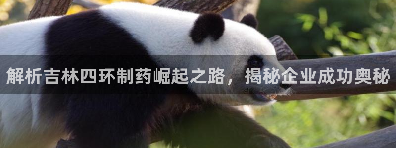 老哥俱乐部是干什么的啊：解析吉林四环制药崛起之路，揭秘企业成功奥秘