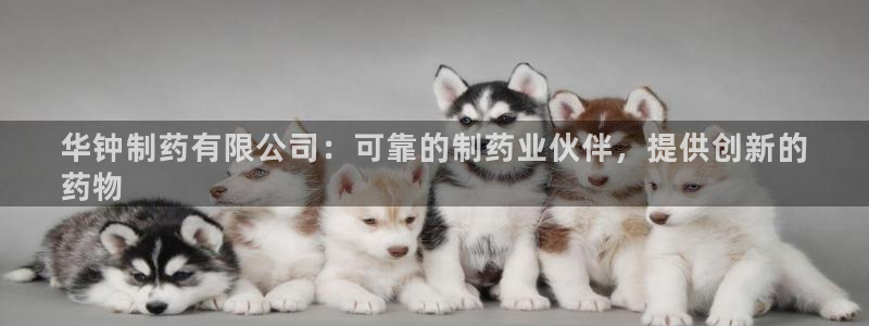 老哥俱乐部是干什么的啊：华钟制药有限公司：可靠的制药业伙伴，提供创新的
药物