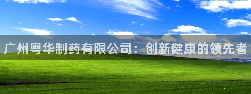 老哥吧九游会：广州粤华制药有限公司：创新健康的领先者