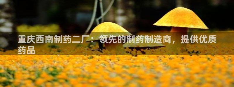 j9九游会老哥俱乐部交流区：重庆西南制药二厂：领先的制药制造商，提供优质
药品