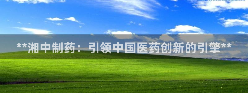 ag九游会老哥俱乐部：**湘中制药：引领中国医药创新的引擎**