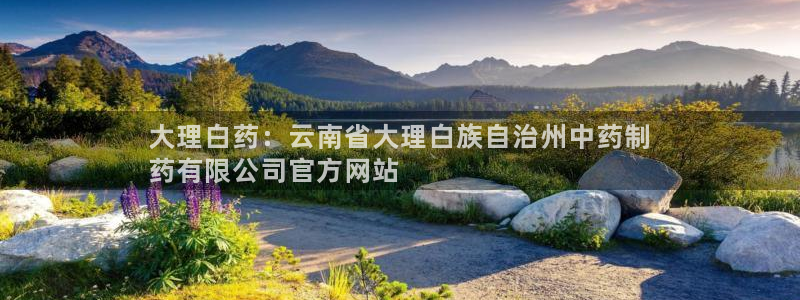 九游会老哥俱乐部官网首页：大理白药：云南省大理白族自治州中药制
药有限公司官方网站