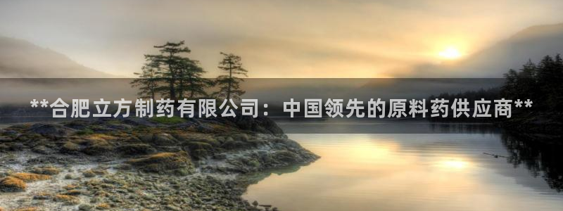 九游会老哥必备的交流社区九：**合肥立方制药有限公司：中国领先的原料药供应商**