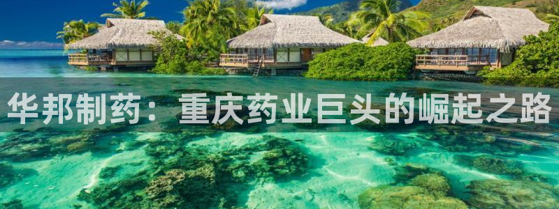 ag九游会老哥：华邦制药：重庆药业巨头的崛起之路