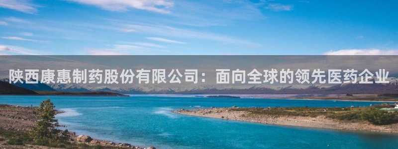 老哥俱乐部是干什么的啊：陕西康惠制药股份有限公司：面向全球的领先医药企业
