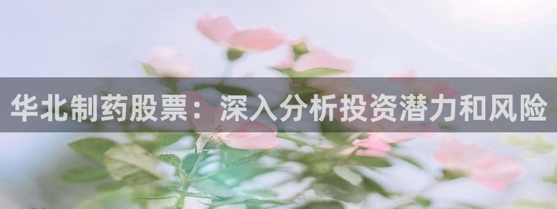 j9九游会老哥俱乐部交流区：华北制药股票：深入分析投资潜力和风险