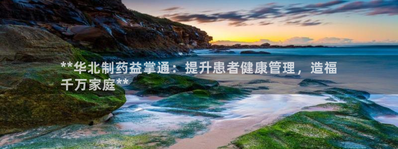 j9九游会老哥俱乐部交流区：**华北制药益掌通：提升患者健康管理，造福
千万家庭**