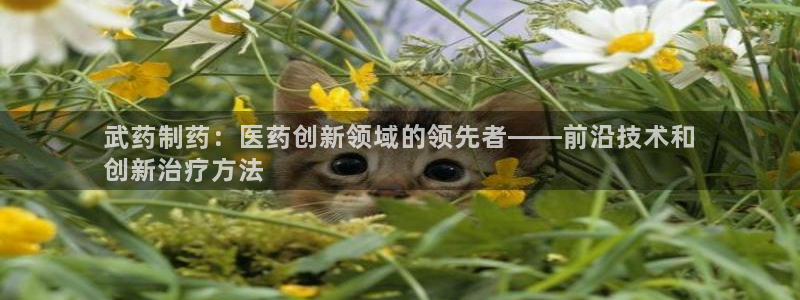 九游老哥俱乐部官网登录网址：武药制药：医药创新领域的领先者——前沿技术和
创新治疗方法
