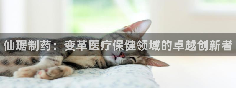 九游会老哥俱乐部官网首页：仙琚制药：变革医疗保健领域的卓越创新者