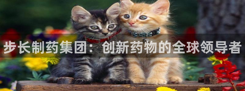 九游会老哥必备的交流社区九：步长制药集团：创新药物的全球领导者