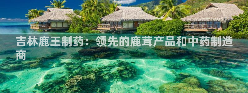 九游会老哥必备的交流社区：吉林鹿王制药：领先的鹿茸产品和中药制造
商