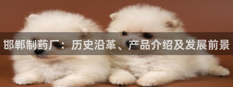 九游会老哥必备的交流社区九：邯郸制药厂：历史沿革、产品介绍及发展前景