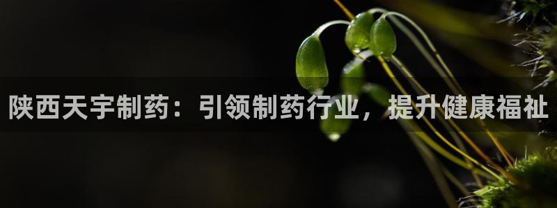 九游会老哥俱乐部：陕西天宇制药：引领制药行业，提升健康福祉