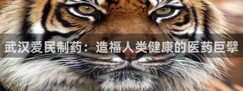 九游老哥俱乐部登录：武汉爱民制药：造福人类健康的医药巨擘