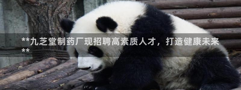 九游会老哥俱乐部交流社区：**九芝堂制药厂现招聘高素质人才，打造健康未来
**
