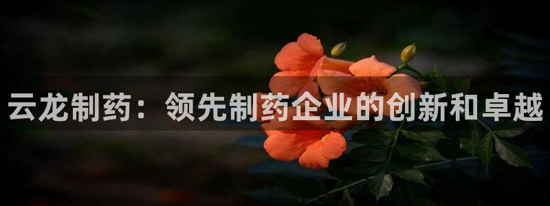 九游老哥俱乐部官网登录入口：云龙制药：领先制药企业的创新和卓越