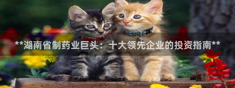 九游会老哥俱乐部官方网站：**湖南省制药业巨头：十大领先企业的投资指南**