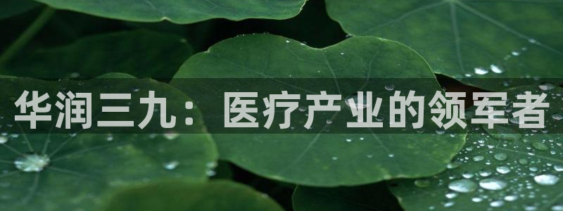 九游会老哥俱乐部必备的交流社区论坛