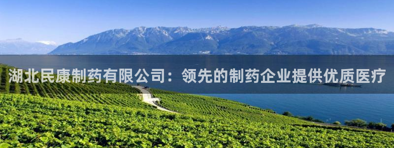 老哥吧九游会下架吗：湖北民康制药有限公司：领先的制药企业提供优质医疗